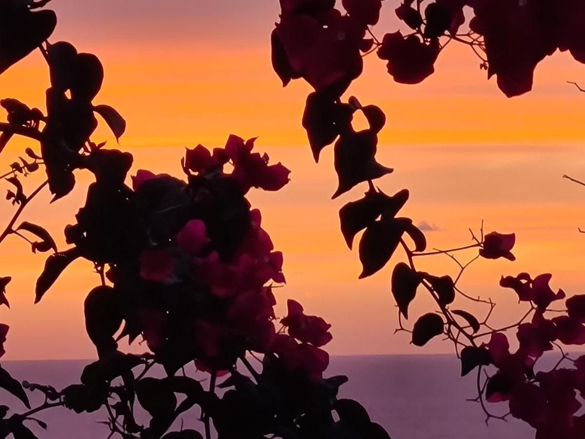 “Cielo E Mare”, Casetta Nel Cuore Del Borgo Antico / “Sky & Sea”, Charming In The Heart Of Old Village Castelsardo Eksteriør bilde