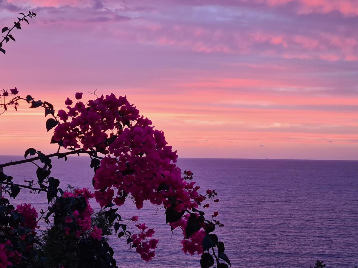 “Cielo E Mare”, Casetta Nel Cuore Del Borgo Antico / “Sky & Sea”, Charming In The Heart Of Old Village Castelsardo Eksteriør bilde
